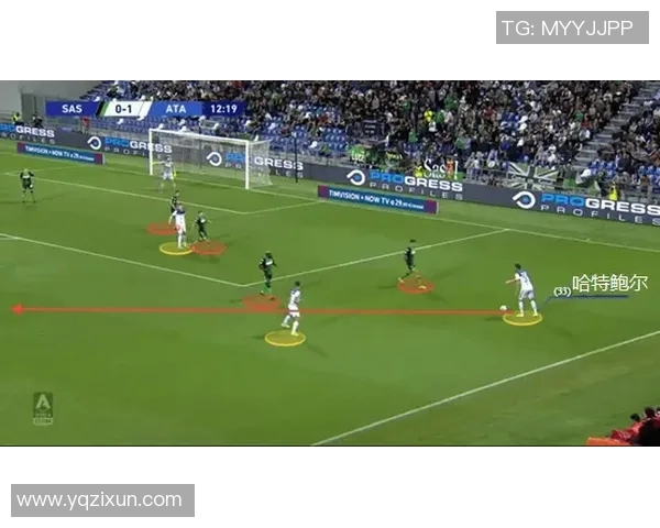 上海排球队进攻革新之路探索与实践的深度剖析